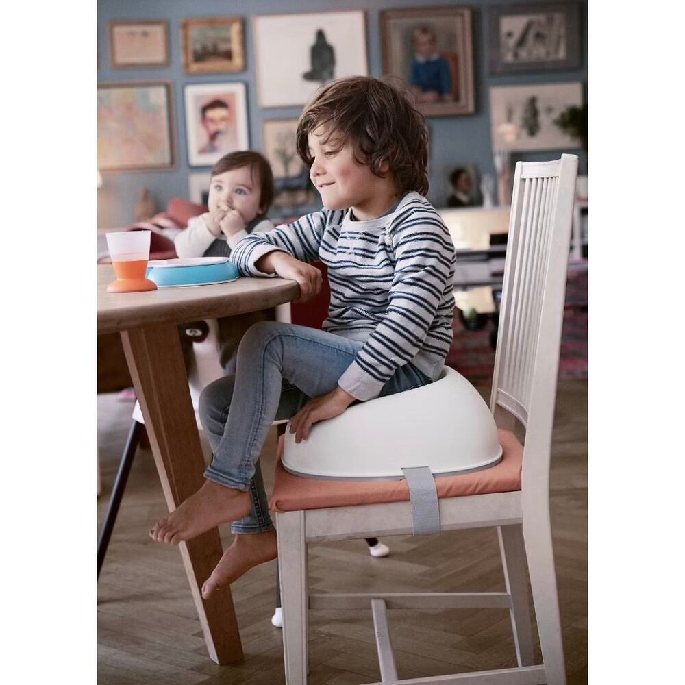 Baby Bjorn Booster Seat